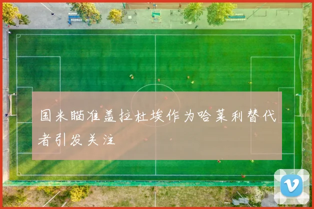 国米瞄准盖拉杜埃作为哈莱利替代者引发关注